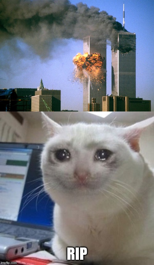 RIP | image tagged in 911 9/11 twin towers impact,cryingcat | made w/ Imgflip meme maker