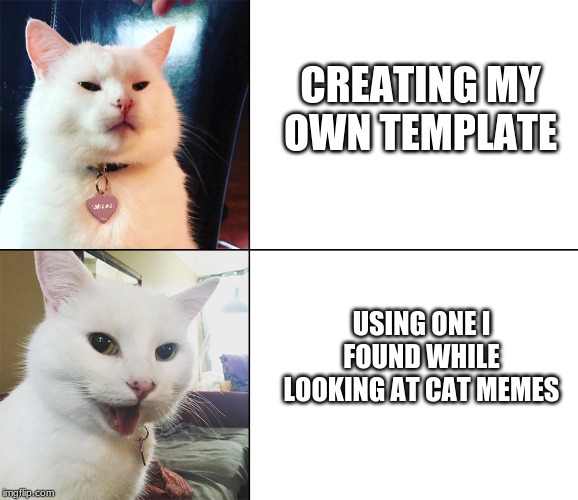 CREATING MY OWN TEMPLATE; USING ONE I FOUND WHILE LOOKING AT CAT MEMES | image tagged in cats | made w/ Imgflip meme maker