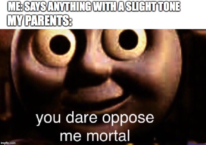 You dare oppose me mortal |  ME: SAYS ANYTHING WITH A SLIGHT TONE; MY PARENTS: | image tagged in you dare oppose me mortal | made w/ Imgflip meme maker