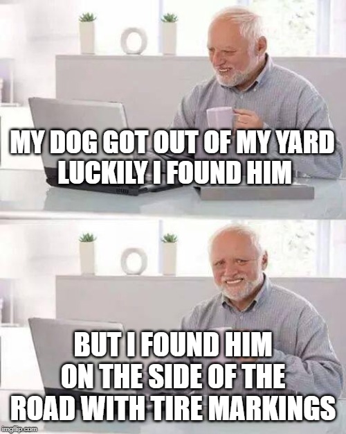 Hide the Pain Harold | MY DOG GOT OUT OF MY YARD
 LUCKILY I FOUND HIM; BUT I FOUND HIM ON THE SIDE OF THE ROAD WITH TIRE MARKINGS | image tagged in memes,hide the pain harold | made w/ Imgflip meme maker