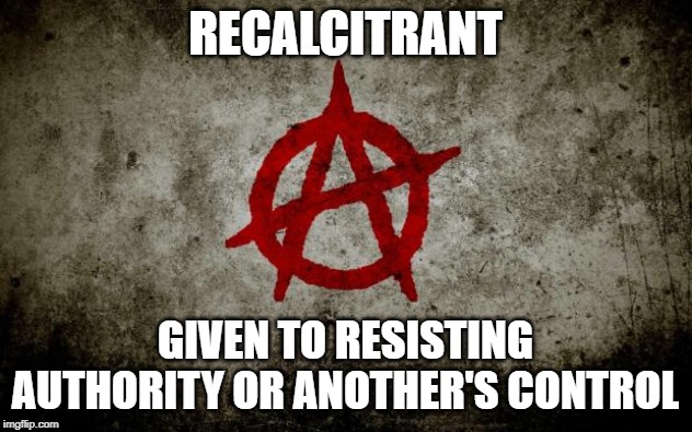anarchy  | RECALCITRANT; GIVEN TO RESISTING AUTHORITY OR ANOTHER'S CONTROL | image tagged in anarchy | made w/ Imgflip meme maker