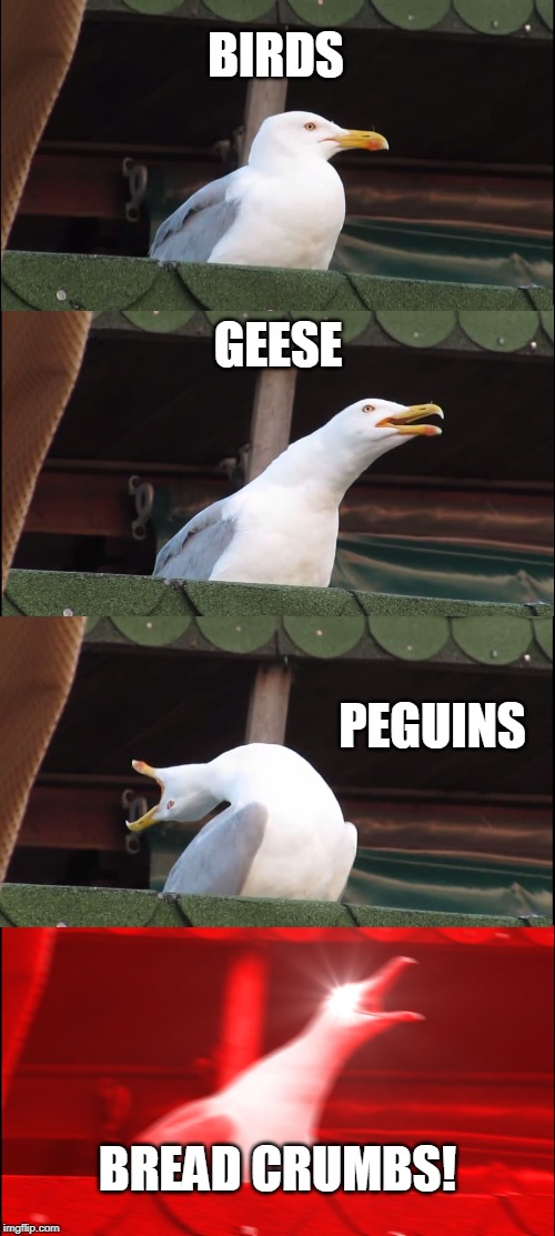 Inhaling Seagull Meme | BIRDS; GEESE; PEGUINS; BREAD CRUMBS! | image tagged in memes,inhaling seagull | made w/ Imgflip meme maker