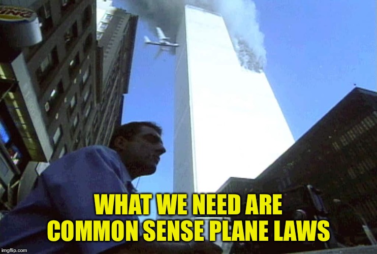 WHAT WE NEED ARE COMMON SENSE PLANE LAWS | made w/ Imgflip meme maker