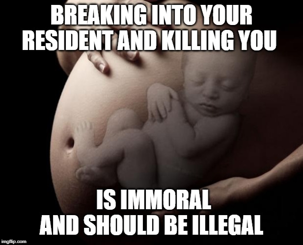 Pregnant Stomach |  BREAKING INTO YOUR RESIDENT AND KILLING YOU; IS IMMORAL AND SHOULD BE ILLEGAL | image tagged in pregnant stomach | made w/ Imgflip meme maker