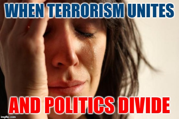 Brave New Problems | WHEN TERRORISM UNITES; AND POLITICS DIVIDE | image tagged in first world problems,9/11,terrorism,war on terror,politics,so true memes | made w/ Imgflip meme maker