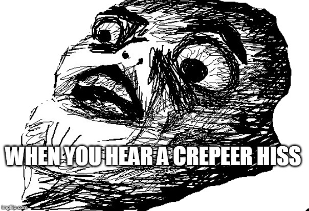 WHEN YOU HEAR A CREPEER HISS | image tagged in creeper | made w/ Imgflip meme maker