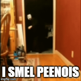 My reaction when I smell milk | I SMEL PEENOIS | image tagged in gifs,brace yourselves x is coming | made w/ Imgflip video-to-gif maker