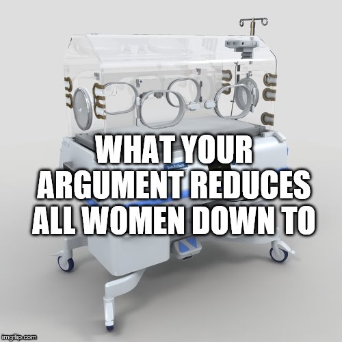 WHAT YOUR ARGUMENT REDUCES ALL WOMEN DOWN TO | made w/ Imgflip meme maker