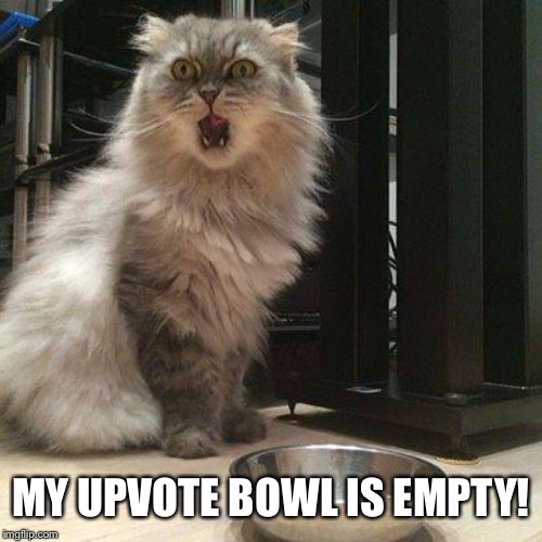 empty food bowl | MY UPVOTE BOWL IS EMPTY! | image tagged in empty food bowl | made w/ Imgflip meme maker