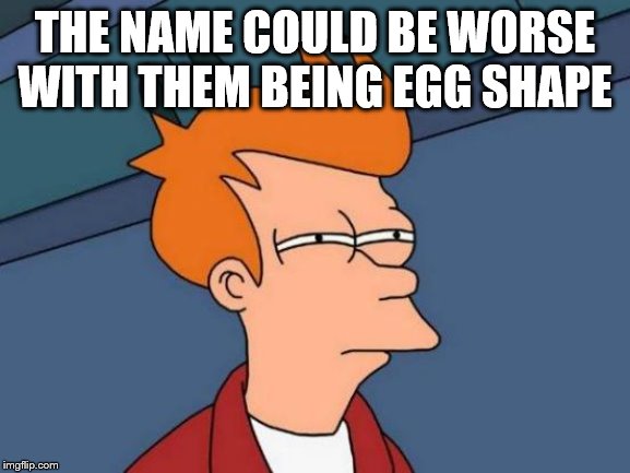 Futurama Fry Meme | THE NAME COULD BE WORSE WITH THEM BEING EGG SHAPE | image tagged in memes,futurama fry | made w/ Imgflip meme maker