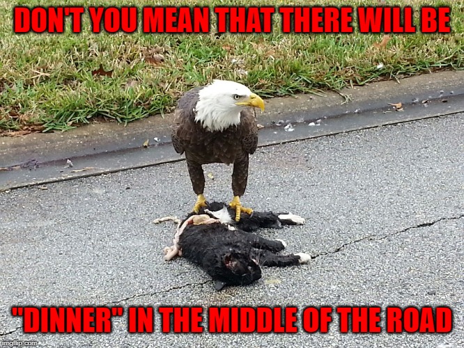 DON'T YOU MEAN THAT THERE WILL BE "DINNER" IN THE MIDDLE OF THE ROAD | made w/ Imgflip meme maker