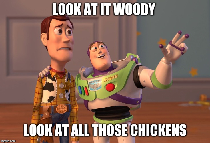 meme vine | LOOK AT IT WOODY; LOOK AT ALL THOSE CHICKENS | image tagged in memes,x x everywhere | made w/ Imgflip meme maker