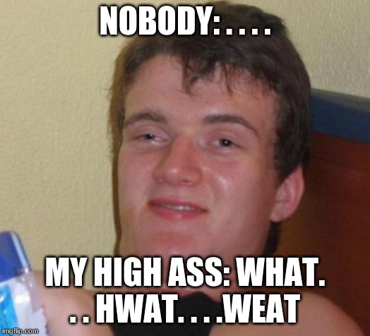 10 Guy Meme | NOBODY: . . . . MY HIGH ASS: WHAT. . . HWAT. . . .WEAT | image tagged in memes,10 guy | made w/ Imgflip meme maker