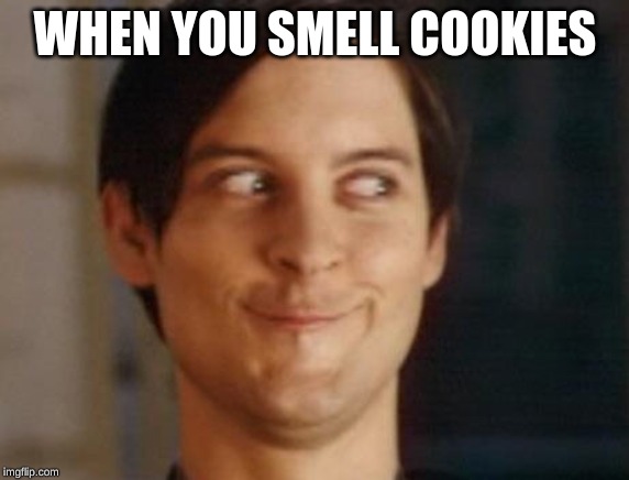Spiderman Peter Parker | WHEN YOU SMELL COOKIES | image tagged in memes,spiderman peter parker | made w/ Imgflip meme maker