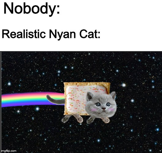 This is just what happens when you're bored in study hall and have Photoshop open(this was actually for a science project) | Nobody:; Realistic Nyan Cat: | image tagged in nyan cat,photoshop,nobody | made w/ Imgflip meme maker