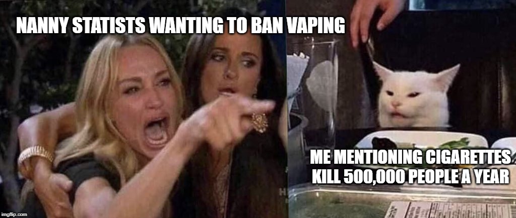Vaping Ban | NANNY STATISTS WANTING TO BAN VAPING; ME MENTIONING CIGARETTES KILL 500,000 PEOPLE A YEAR | image tagged in woman yelling at cat,vaping | made w/ Imgflip meme maker