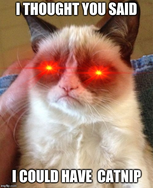 Grumpy Cat Meme | I THOUGHT YOU SAID; I COULD HAVE  CATNIP | image tagged in memes,grumpy cat | made w/ Imgflip meme maker