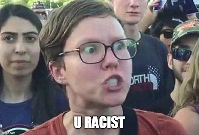 Triggered Liberal | U RACIST | image tagged in triggered liberal | made w/ Imgflip meme maker