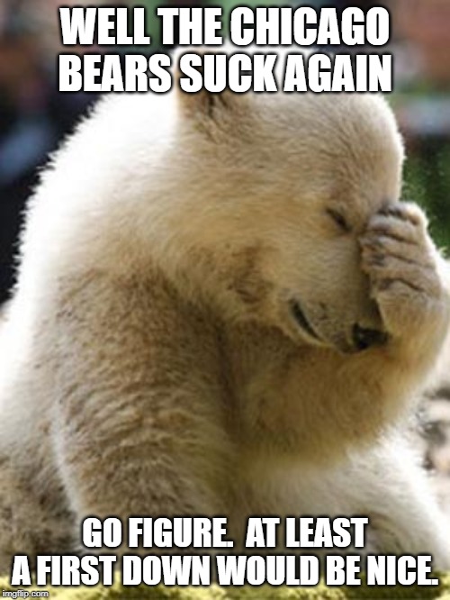 Facepalm Bear | WELL THE CHICAGO BEARS SUCK AGAIN; GO FIGURE.  AT LEAST A FIRST DOWN WOULD BE NICE. | image tagged in memes,facepalm bear | made w/ Imgflip meme maker