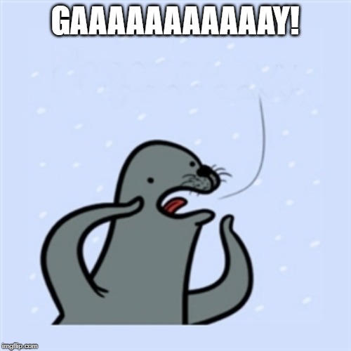 gay seal | GAAAAAAAAAAAY! | image tagged in gay seal | made w/ Imgflip meme maker