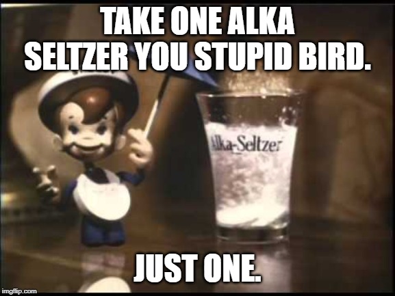TAKE ONE ALKA SELTZER YOU STUPID BIRD. JUST ONE. | made w/ Imgflip meme maker