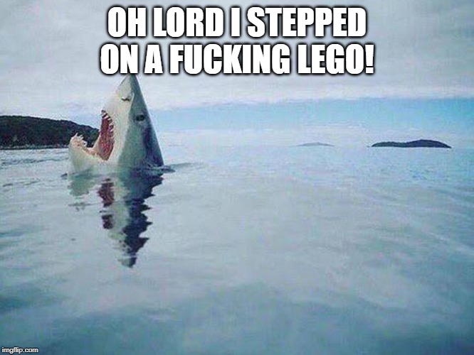 Shark Steps on Lego | OH LORD I STEPPED ON A F**KING LEGO! | image tagged in shark steps on lego | made w/ Imgflip meme maker