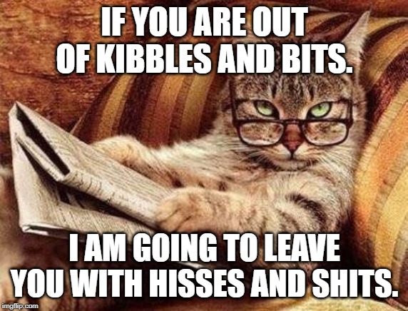 IF YOU ARE OUT OF KIBBLES AND BITS. I AM GOING TO LEAVE YOU WITH HISSES AND SHITS. | image tagged in smart cat | made w/ Imgflip meme maker