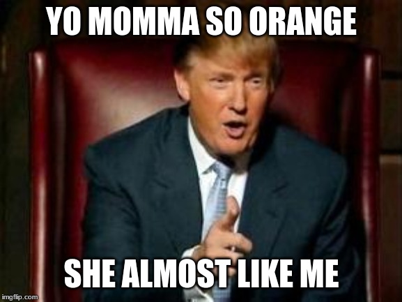 Donald Trump | YO MOMMA SO ORANGE; SHE ALMOST LIKE ME | image tagged in donald trump | made w/ Imgflip meme maker