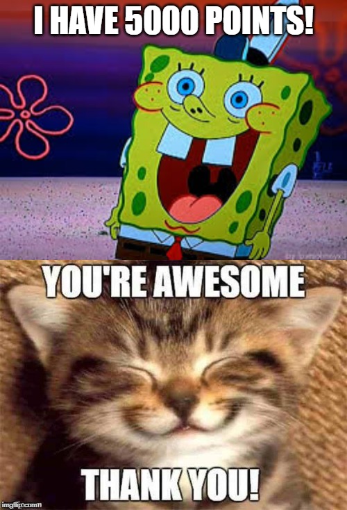 I HAVE 5000 POINTS! | image tagged in cats,spongebob,imgflip points | made w/ Imgflip meme maker