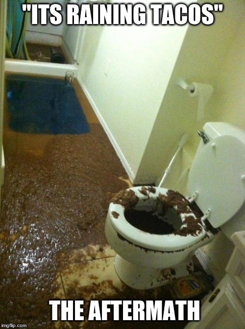 poop | "ITS RAINING TACOS"; THE AFTERMATH | image tagged in poop | made w/ Imgflip meme maker