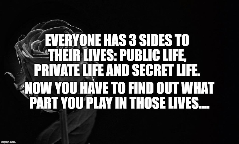 3 sides to life | EVERYONE HAS 3 SIDES TO THEIR LIVES: PUBLIC LIFE, PRIVATE LIFE AND SECRET LIFE. NOW YOU HAVE TO FIND OUT WHAT PART YOU PLAY IN THOSE LIVES.... | image tagged in inspirational quote | made w/ Imgflip meme maker