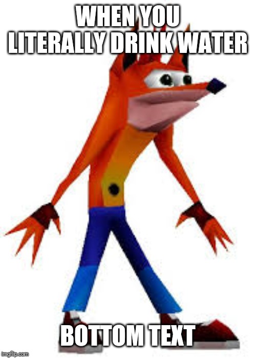 Crash Bandicoot | WHEN YOU LITERALLY DRINK WATER; BOTTOM TEXT | image tagged in crash bandicoot | made w/ Imgflip meme maker