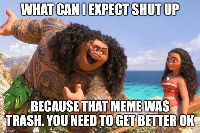 Moana Maui You're Welcome | WHAT CAN I EXPECT SHUT UP BECAUSE THAT MEME WAS TRASH. YOU NEED TO GET BETTER OK | image tagged in moana maui you're welcome | made w/ Imgflip meme maker