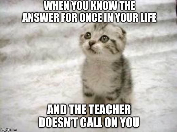 2 + 2 = fish | WHEN YOU KNOW THE ANSWER FOR ONCE IN YOUR LIFE; AND THE TEACHER DOESN’T CALL ON YOU | image tagged in memes,sad cat | made w/ Imgflip meme maker