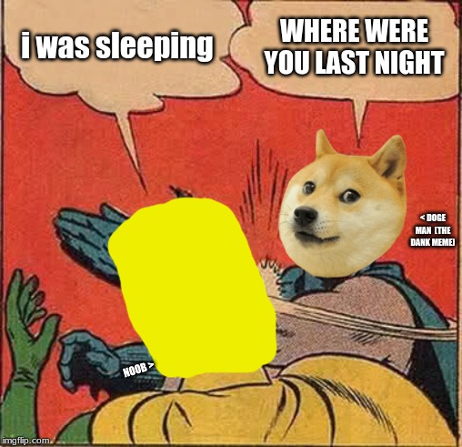 Batman Slapping Robin | i was sleeping; WHERE WERE YOU LAST NIGHT; < DOGE MAN  (THE DANK MEME); NOOB > | image tagged in memes,batman slapping robin | made w/ Imgflip meme maker