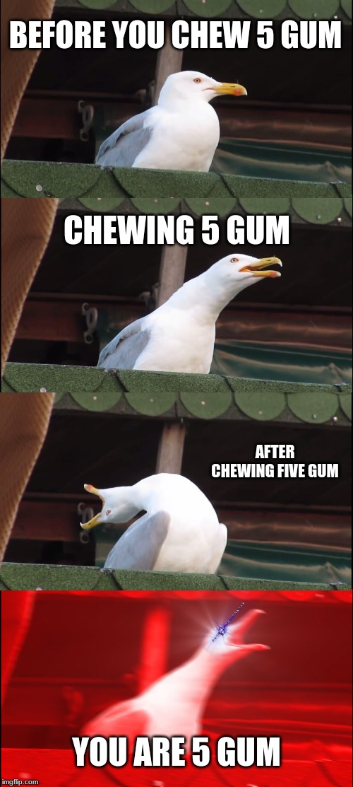 Inhaling Seagull Meme | BEFORE YOU CHEW 5 GUM; CHEWING 5 GUM; AFTER CHEWING FIVE GUM; YOU ARE 5 GUM | image tagged in memes,inhaling seagull | made w/ Imgflip meme maker