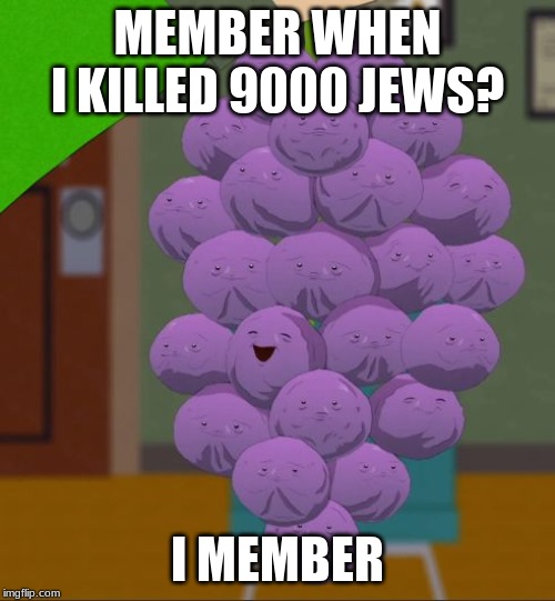 member berries  | MEMBER WHEN I KILLED 9000 JEWS? I MEMBER | image tagged in member berries | made w/ Imgflip meme maker