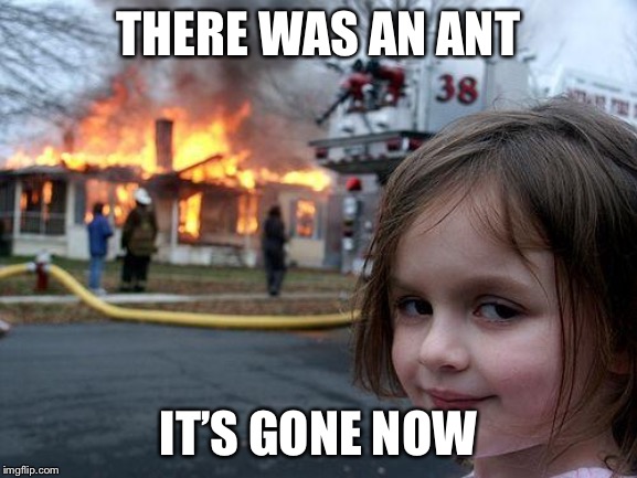 Disaster Girl Meme | THERE WAS AN ANT; IT’S GONE NOW | image tagged in memes,disaster girl | made w/ Imgflip meme maker