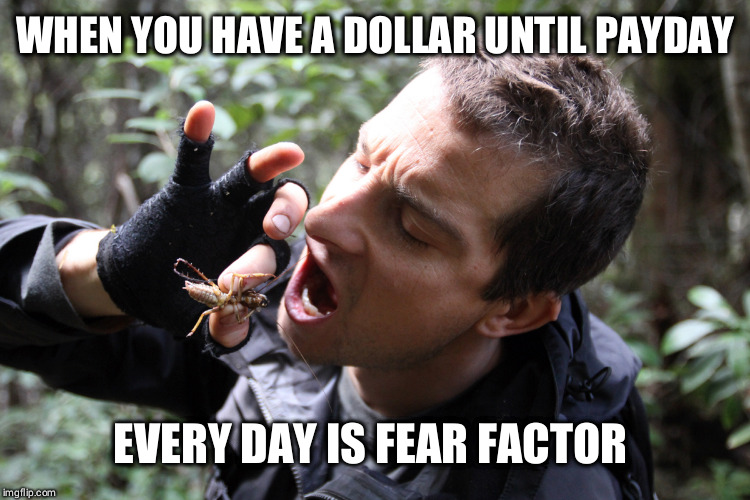 bear grylls eat bug | WHEN YOU HAVE A DOLLAR UNTIL PAYDAY; EVERY DAY IS FEAR FACTOR | image tagged in bear grylls eat bug | made w/ Imgflip meme maker