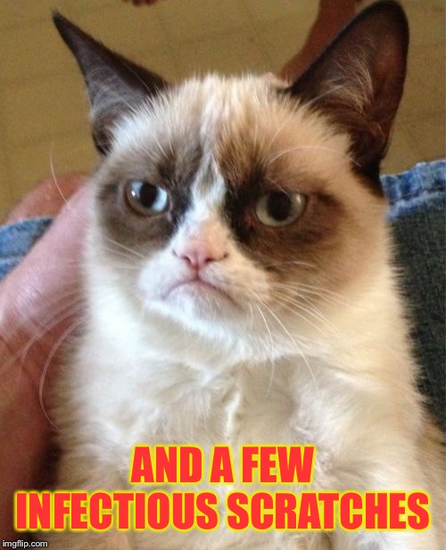 Grumpy Cat Meme | AND A FEW INFECTIOUS SCRATCHES | image tagged in memes,grumpy cat | made w/ Imgflip meme maker