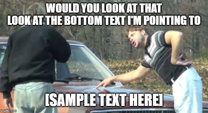 Would you look at that | WOULD YOU LOOK AT THAT
LOOK AT THE BOTTOM TEXT I'M POINTING TO; [SAMPLE TEXT HERE] | image tagged in would you look at that | made w/ Imgflip meme maker