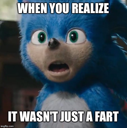 Sonic Oh Naw | WHEN YOU REALIZE; IT WASN'T JUST A FART | image tagged in sonic movie,oh my god,fart,i just pooped my pants,it wasn't a fart | made w/ Imgflip meme maker