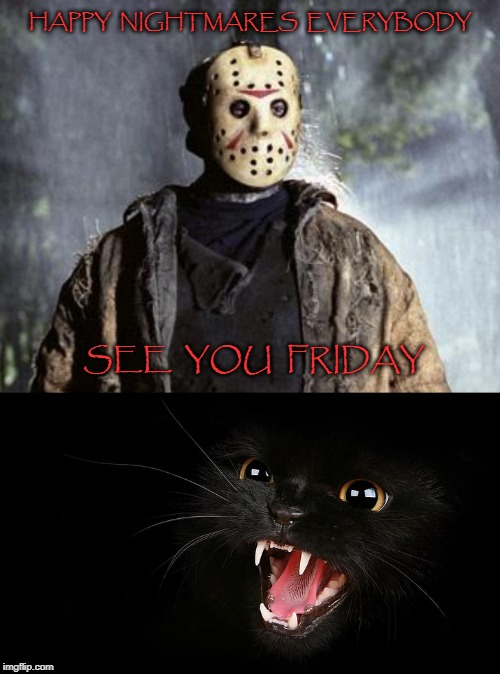 HAPPY  NIGHTMARES  EVERYBODY; SEE  YOU  FRIDAY | image tagged in friday 13th jason | made w/ Imgflip meme maker