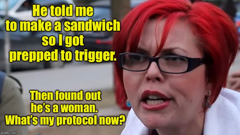  triggered | He told me to make a sandwich so I got prepped to trigger. Then found out he’s a woman.  What’s my protocol now? | image tagged in triggered | made w/ Imgflip meme maker