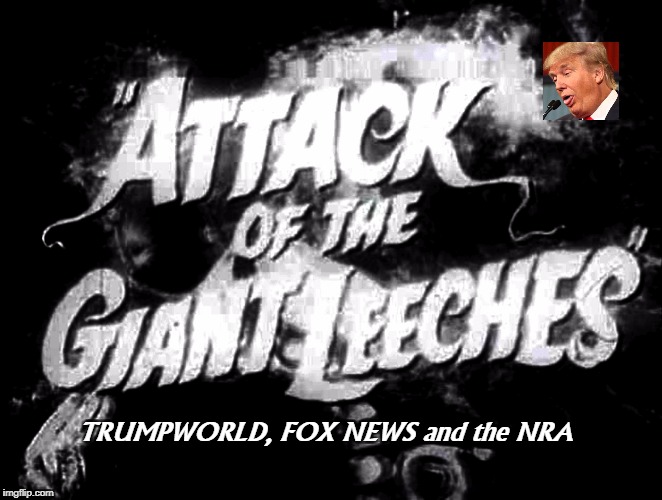 TRUMPWORLD, FOX NEWS and the NRA | image tagged in trump,grifter,leech,profiteering,emoluments | made w/ Imgflip meme maker