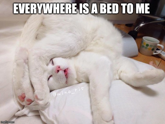 EVERYWHERE IS A BED TO ME | made w/ Imgflip meme maker