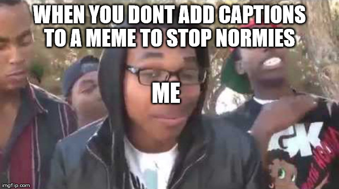 I'm about to end this man's whole career | WHEN YOU DONT ADD CAPTIONS TO A MEME TO STOP NORMIES; ME | image tagged in i'm about to end this man's whole career | made w/ Imgflip meme maker