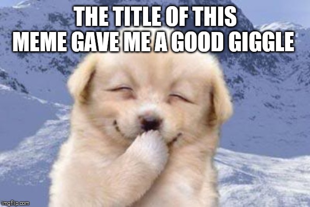 Laughing dog | THE TITLE OF THIS MEME GAVE ME A GOOD GIGGLE | image tagged in laughing dog | made w/ Imgflip meme maker