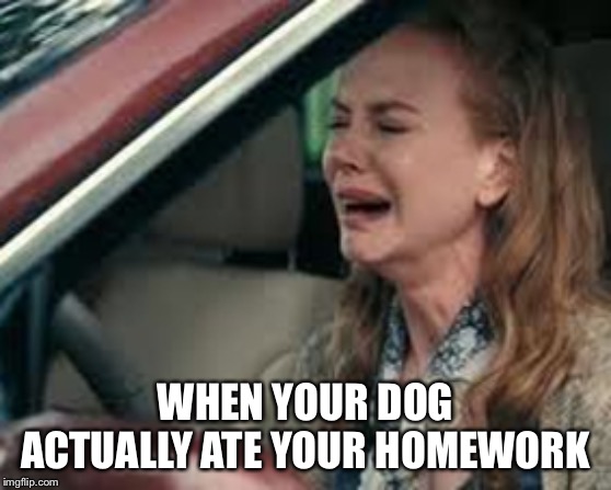 Teachers on Monday morning | WHEN YOUR DOG ACTUALLY ATE YOUR HOMEWORK | image tagged in teachers on monday morning | made w/ Imgflip meme maker