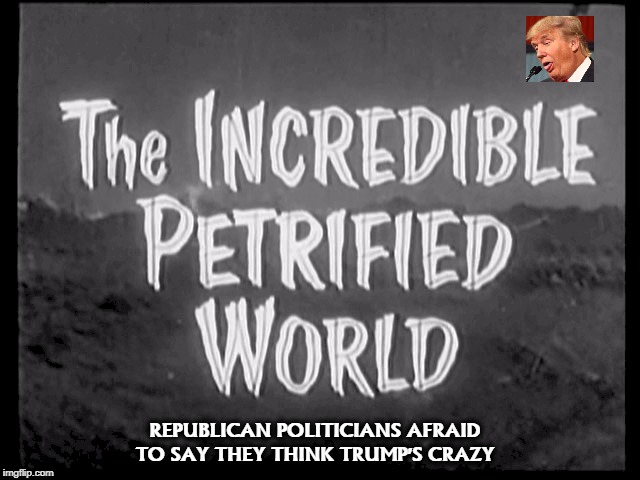 REPUBLICAN POLITICIANS AFRAID TO SAY THEY THINK TRUMP'S CRAZY | image tagged in trump,crazy,gop,republicans | made w/ Imgflip meme maker